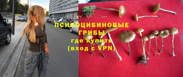 гашик Алзамай